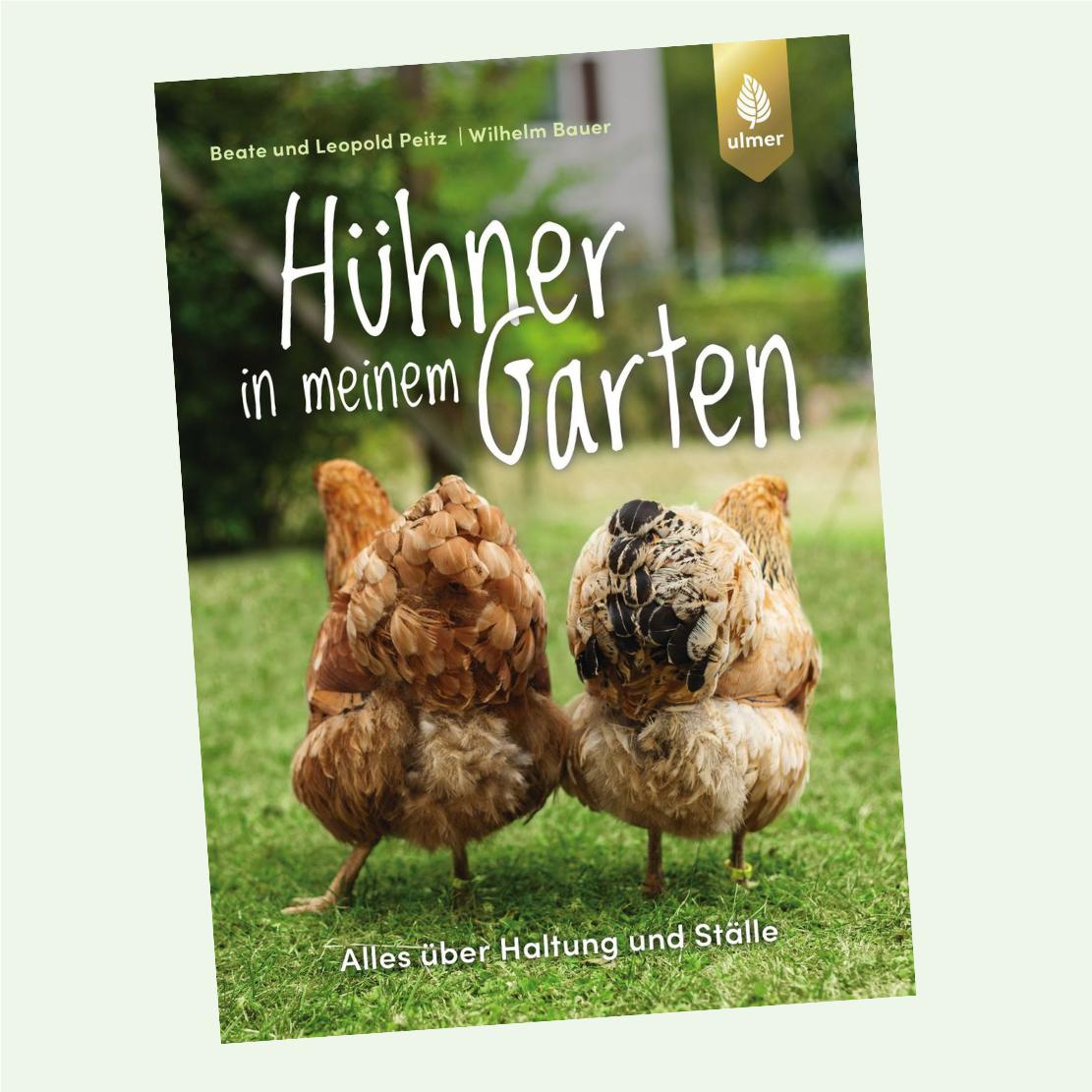 Huhner In Meinem Garten