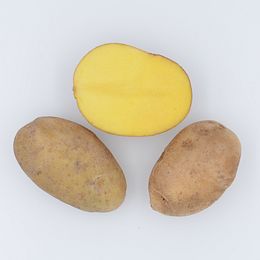 Patate viola, Verrayes