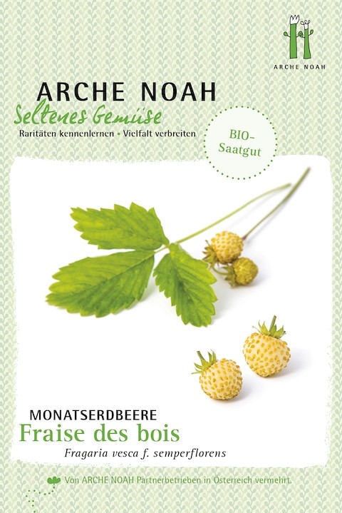 Monatserdbeere 'Fraise des Bois' HG105