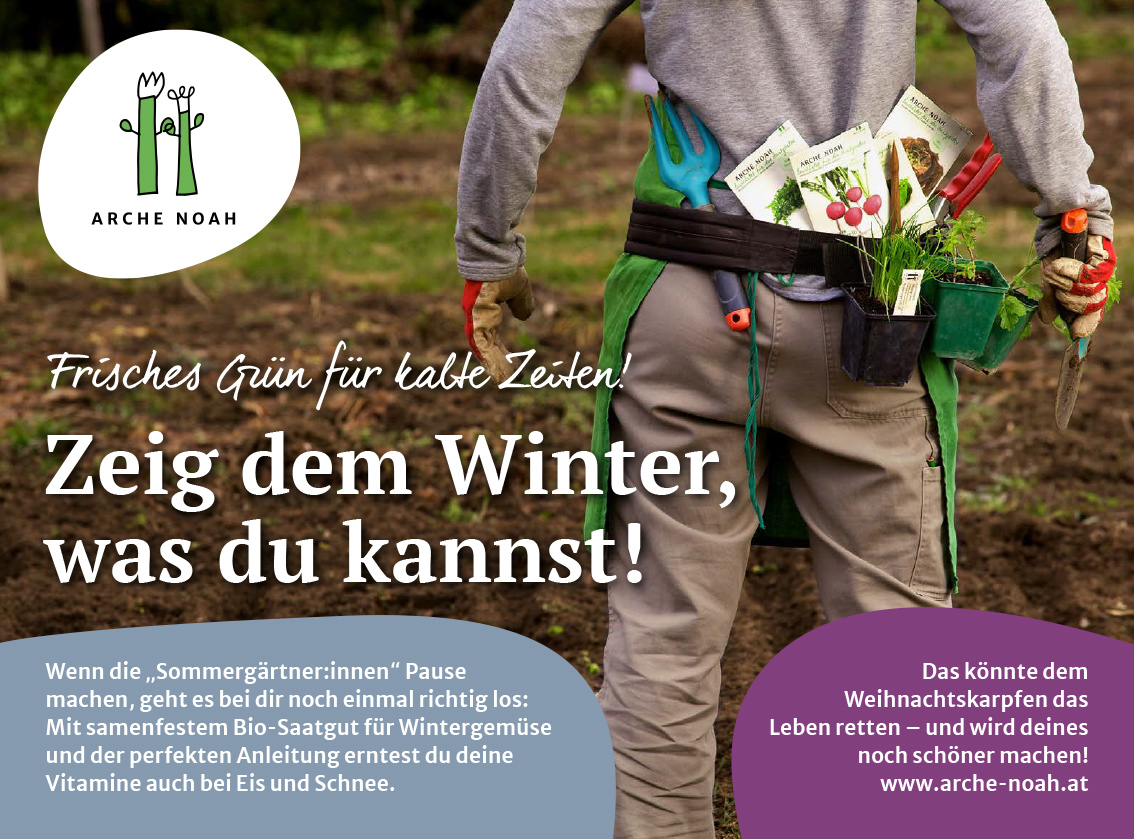Zeig dem Winter, was du kannst!